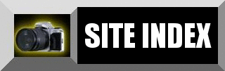 SITE INDEX